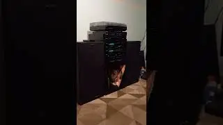 Sony XO 800 tocando Carrie,  raríssimo estado de conservação.