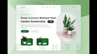 Creating a Natural Plants (Decorative Plants) Website Design in Figma | Killuos | Killuos Devs
