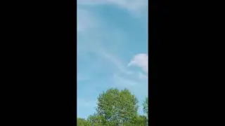 Обязательно читайте это по утрам.