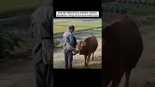 САМОЕ ЭМОЦИОНАЛЬНОЕ ПРОЩАНИЕ ЧЕЛОВЕКА И ЖИВОТНОГО КОТОРОЕ ВЫ УВИДИТЕ #рек #животное #милота