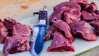 BIO Wildfleisch - was ist da wirklich dran?