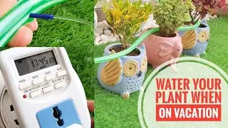How to Water Plants While on Vacation | पौधो को ऑटोमेटिकली पानी दे | Best Self Watering System