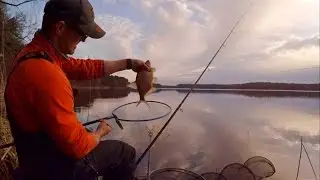 Feeder 2017. Part 1 - 70m Cast, Shockleader, Feeders, Rigging, Counting...
