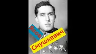 Яков Смушкевич дважды герой Советского Союза… мемориальное кладбище в Монино