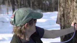 Sugaring with Jon