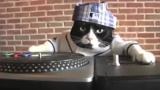 DJ Kitty
