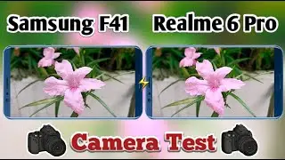 Samsung Galaxy F41 vs Realme 6 Pro Camera Test | Samsung F41 Camera