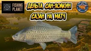 Fishing Planet (FP)-САЗАН НА МАТЧ. ДЕЛЬТА САН-ХОАКИН