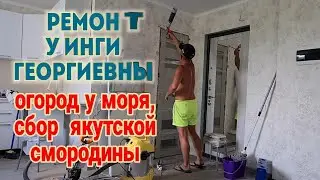 Ейск🌹Ремонт на Коммунистической. Мильдю, оидиум, паутинный клещ на винограде. Собираем смородину.