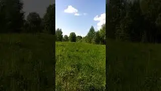 8 июня 2020 г.
