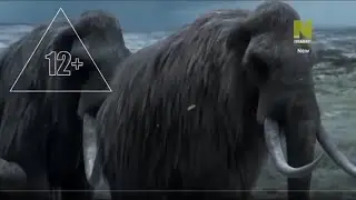 Клонирование мамонта  |  Документальный фильм
