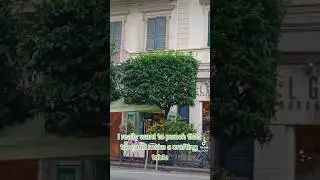 Minecraft Italian Trees 🌳