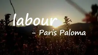 Paris Paloma - labour (Lyrics)