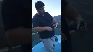Tral avına devam part 1