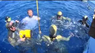 Дисциплины и Рекорды во фридайвинге