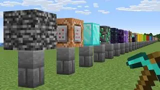 I Collected EVERY Block In Minecraft