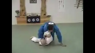 Техники бразильского джиу джитсу.