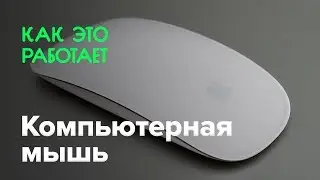Как работает компьютерная мышь