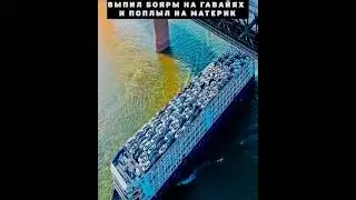 Сисун выпил много бояры на Гавайях и поплыл на материк 💪