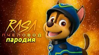 Песня Клип про ГОНЩИКА ЩЕНЯЧИЙ ПАТРУЛЬ Rasa ПЧЕЛОВОД ПАРОДИЯ