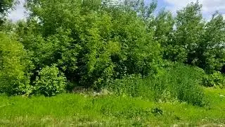 Московская область, городской округ Истра, село Лучинское, Центральная улица, 3