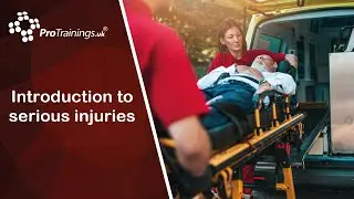 Introduction to Serious Injuries