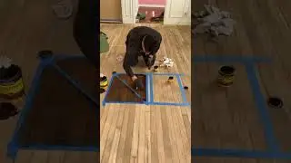 Colores para pisos de madera