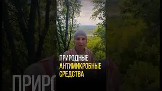 ЗАМЕНИТЬ АНТИБИОТИКИ