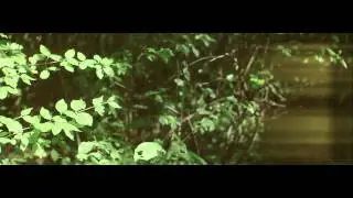 Hior Chronik  - You Are a Bright Star  (Official Video) by nuzumaki.