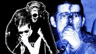 The Man Who Defied Japanese Punk Rock