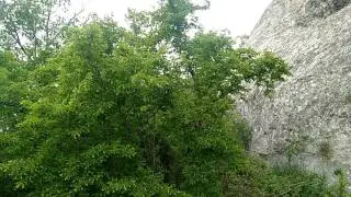 Экскурсия на гору напротив крепости Каламита