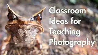 Part 5: Classroom Ideas for Teaching Photography