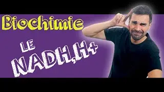 COURS DE BIOCHIMIE: Le NADH,H+