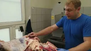 Говядина. Передок. Рубка. Разделка.