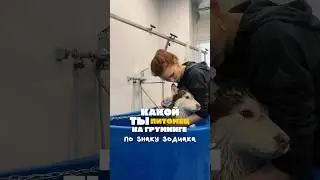 Согласны?😄 