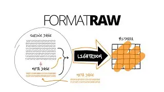 Dlaczego format RAW to lepszy format plików niż JPEG? - szkolenie z fotografii cyfrowej