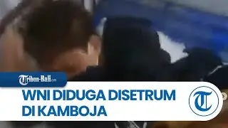 Viral Video Diduga WNI Alami Penyiksaan Disetrum di Kamboja, Ini Tanggapan Kemenlu RI