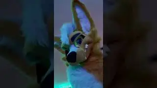 Coyote twins minus one Dancing Fwa2023 #furries #fursuit #shorts