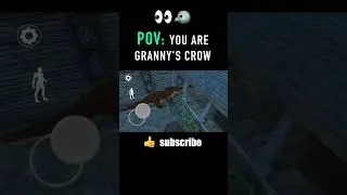 Is this what the world looks like as Granny's crow? 🙄 #shorts #granny #granny3