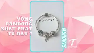 Vòng pandora là gì, nguồn gốc từ đâu mà có 