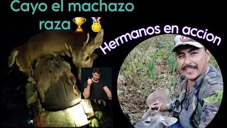 VENADO MACHAZO DE UN TIRO, NO LO VAS A CREER!