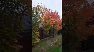 аз инватани