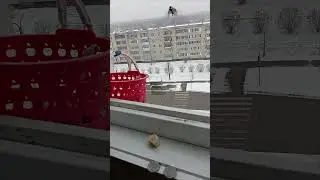 7 ноября 2024 г.