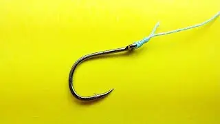 Jim gibbinson knot. How to attach a hook to a fishing line. Homemade products for fishing