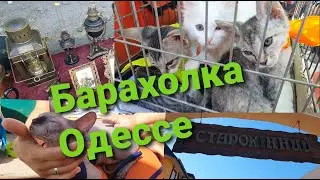 Барахолка Одессы  делаем ветер  