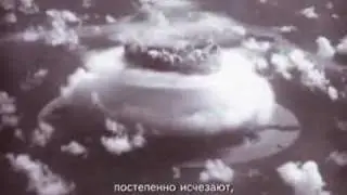 Животные - ViSta Studio