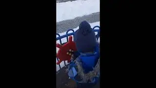 Кошкин Дом Алисы и кота Алекса в прямом эфире!