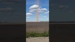В поле под Столбцами заметили интересное природное явление — пылевой вихрь.