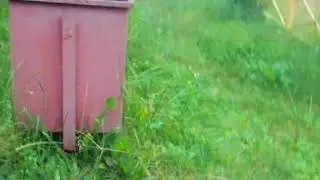 упал