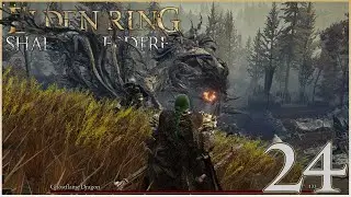 Dividing Dragons | Elden Ring (Shadow of the Erdtree) #24